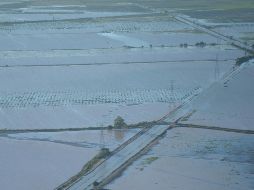 Autoridades estatales y municipales trabajarán coordinadamente para realizar el censo de los daños por las lluvias que originó la Depresión Tropical 19-E. NTX / ARCHIVO