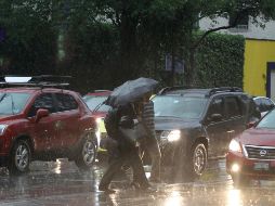 La lluvia de esta mañana ha dejado inundaciones en casas habitación, árboles caídos y vehículos varados. NTX / ARCHIVO