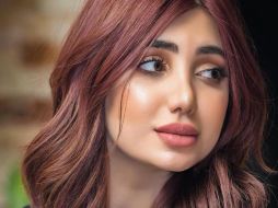 Fares se hizo famosa por ser finalista en un concurso de belleza organizado a nivel nacional por asociaciones locales en 2014. TWITTER