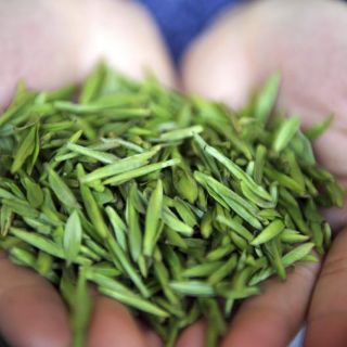 Antioxidantes de alimentos protegen contra el cáncer