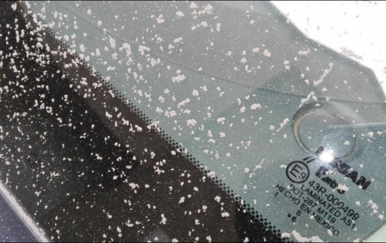 El volcán Popocatépetl continúa con su actividad. TWITTER/@Kya40I