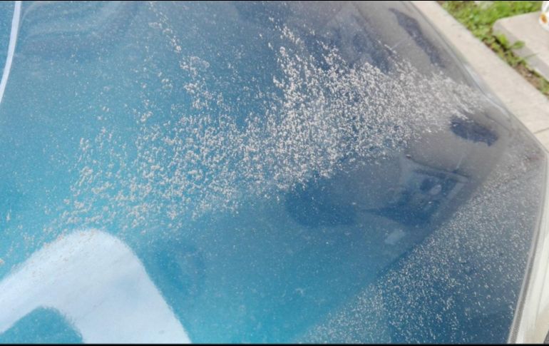 El volcán Popocatépetl continúa con su actividad. TWITTER/@Kya40I