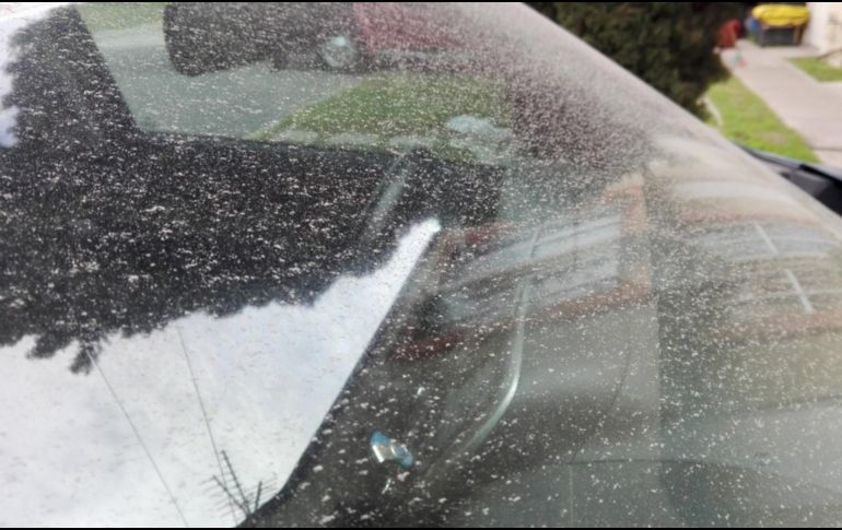 El volcán Popocatépetl continúa con su actividad. TWITTER/@Kya40I