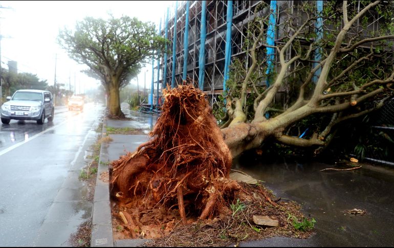 Los trenes de alta velocidad fueron suspendidos y cerca de mil vuelos se cancelaron. EFE / H. Maeshiro
