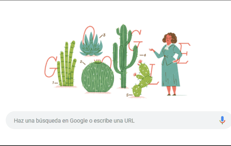  En la actualidad, el Jardín Botánico 