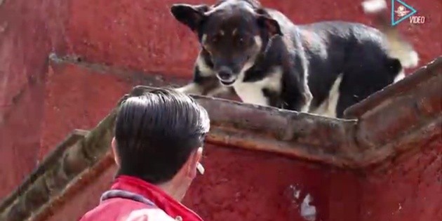 "Aranda", de restacatada a can bombera