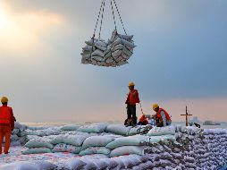 Según los tres organismos, los cambios en la naturaleza del comercio no se han reflejado plenamente en la evolución de la regulación internacional. AFP