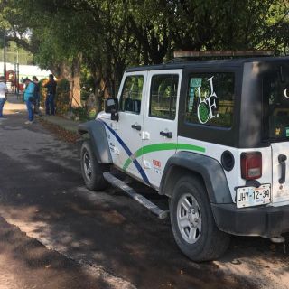 Localizan bolsas con restos humanos en la colonia José Clemente Orozco