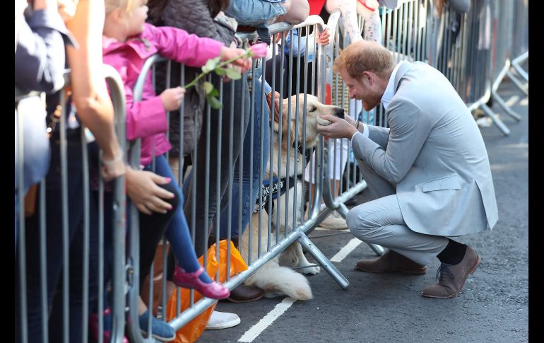 El príncipe Enrique acaricia a un perro a su llegada a Chichester, Inglaterra, para un evento oficial. AFP/D. Leal-Olivas