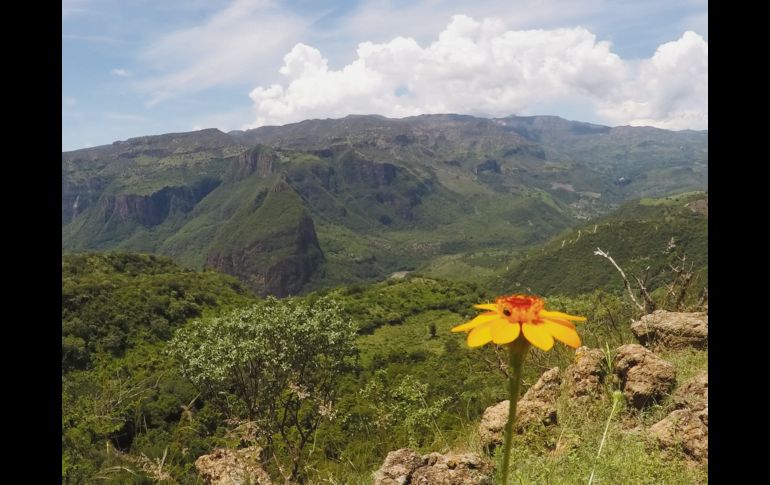 El potrero. La vista imponente sólo se aprecia desde este lugar.