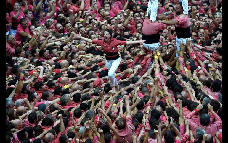 Integrantes del equipo  