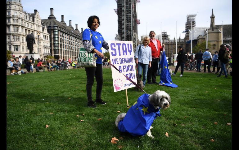 La manifestación reunió a políticos enarbolando banderas de la Unión Europea (UE), actores y activistas, todos acompañados por sus amigos de cuatro patas y unidos por su oposición a la salida de Reino Unido de la UE.