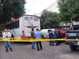 De acuerdo con el presidente de la FEU, la joven estudiaba el segundo semestre de la licenciatura en Relaciones Internacionales, en el Centro Universitario de Ciencias Sociales y Humanidades. ESPECIAL /