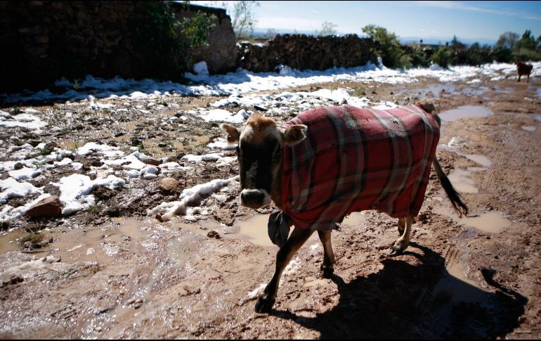 Un frente frío y su masa de aire pueden generar lluvias, granizo, bajas temperaturas, heladas, nevadas y vientos fuertes, además de tormentas invernales. EL INFORMADOR / ARCHIVO