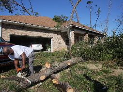 Un habitante trabaja con una motosierra para limpiar su propiedad de árboles caídos después de la llegada del huracán 
