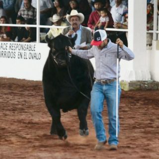 Esperan a millón y medio en la Expo Ganadera