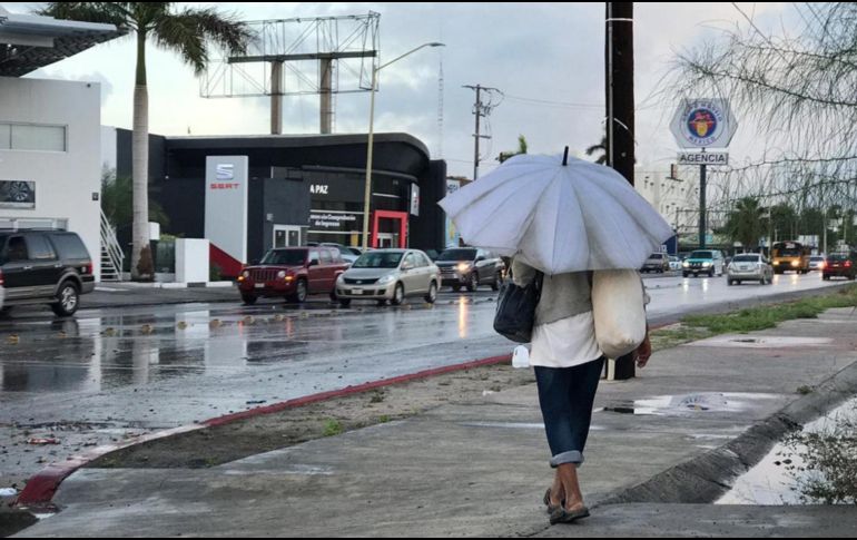 Una mujer camina hoy por una avenida de La Paz, en medio de encharcamientos. EFE/L. Roldán