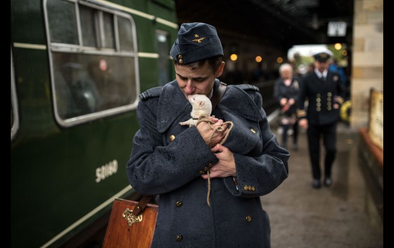 Un hombre disfrazado carga un hurón, antes de subir a un tren en Pickering, Inglaterra, durante las celebraciones de un evento que recrea situaciones de la Segunda Guerra Mundial. AFP/O. Scarff