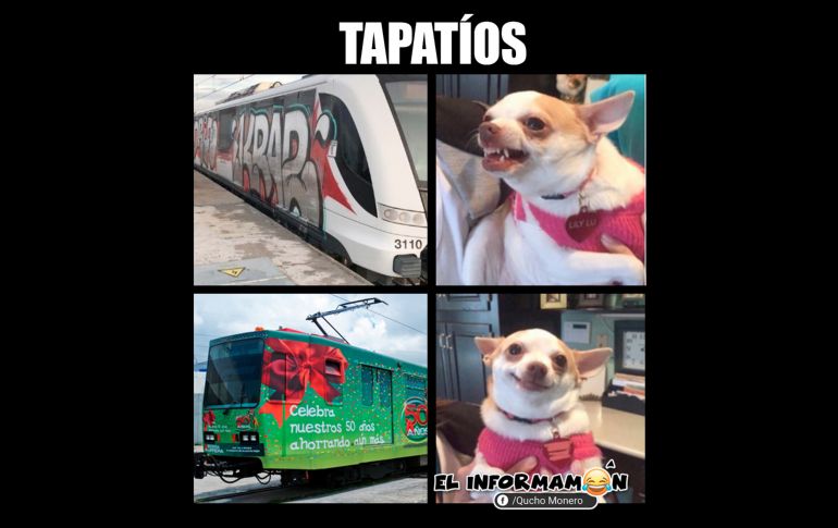 Reaccionan con memes al grafiti de los nuevos vagones del Tren Ligero