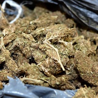 Aseguran 20 kilos de mariguana en Zapopan