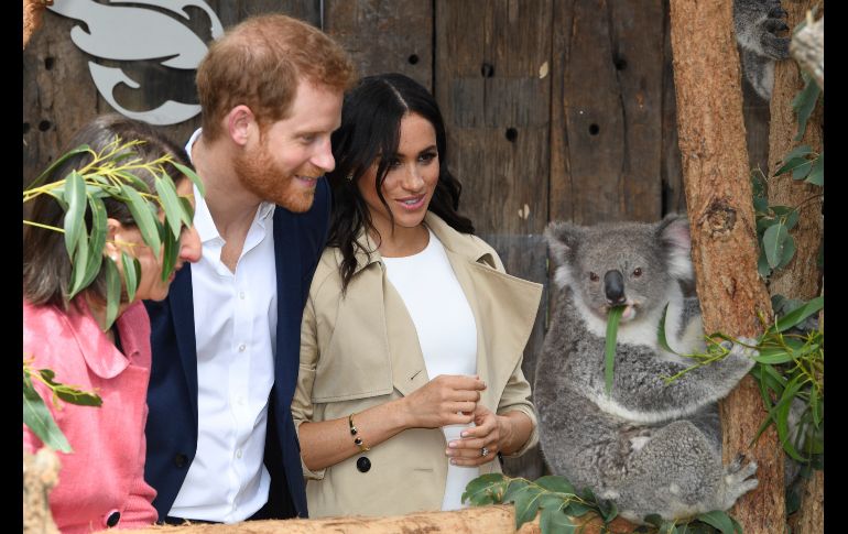 El príncipe Enrique y su esposa Meghan, duquesa de Sussex, conocen a la koala 