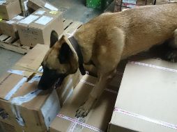 Localizaron y aseguraron una llanta de vehículo que en su interior contenía cinco envoltorios con un peso aproximado de cinco kilos de metanfetamina. EL INFORMADOR/ ARCHIVO