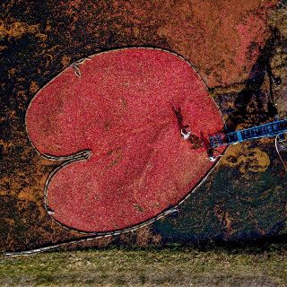 El mundo en imágenes del 19 de octubre de 2018