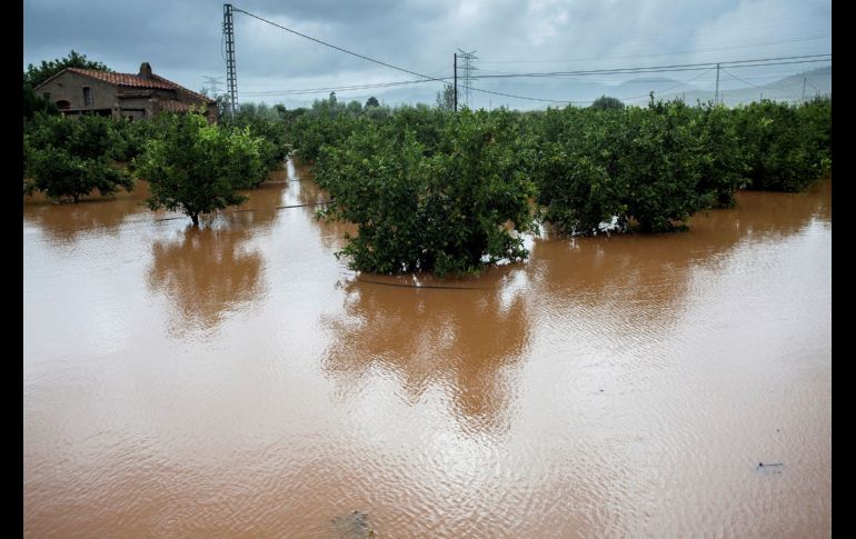 Las lluvias caídas sobre el norte de la provincia de Castellón, España, han provocado que los campos en Alcocéber queden completamente anegados. EFE/ D. Castelló