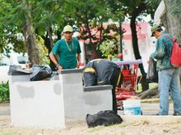 Sólo entre enero y agosto se han registrado seis robos en el Jardín Botánico; el año pasado fueron siete. EL INFORMADOR/E. Barrera