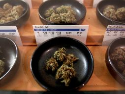 El proceso de compra y venta de mariguana varía según la provincia. AP/Archivo