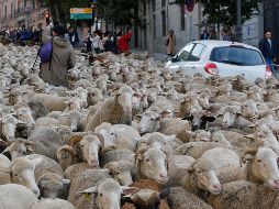 El mundo en imágenes del 21 de octubre de 2018