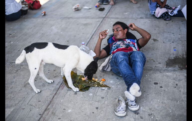 Un perro come junto a un migrante de la caravana que llegó a Metapa.