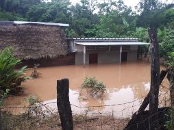 El desbordamiento de cauces naturales ha obligado las evacuaciones en la región de la cuenca del Papaloapan. NOTIMEX/El Informador