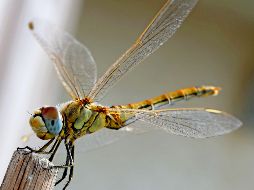 El mundo en imágenes del 22 de octubre de 2018