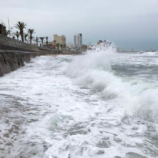 Nayarit y Sinaloa toman medidas preventivas por "Willa"