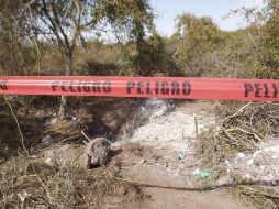 Con estos dos cuerpos ya suman 88 cadáveres encontrados en fosas clandestinas en Jalisco. EL INFORMADOR / ARCHIVO