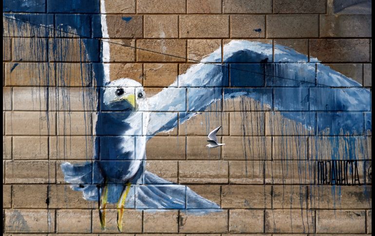 Una gaviota vuela bajo un puente con grafiti en Belgrado, Serbia. AP/D. Vojinovic