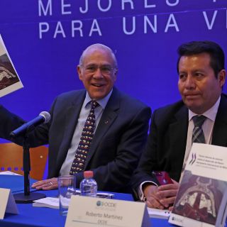 México no puede fallar sobre nuevo aeropuerto: OCDE