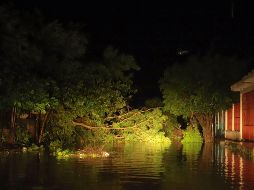 Estragos del huracán 