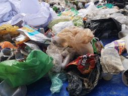 Los resultados mostraron que los participantes contenían hasta nueve tipos de plásticos. NTX / ARCHIVO