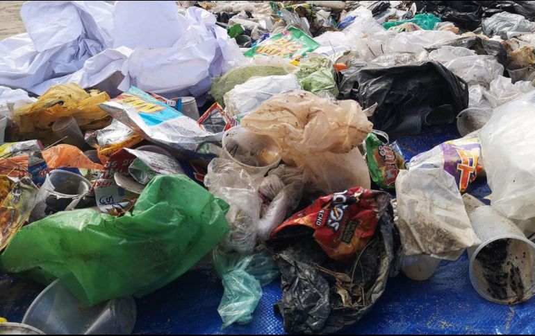 Los resultados mostraron que los participantes contenían hasta nueve tipos de plásticos. NTX / ARCHIVO