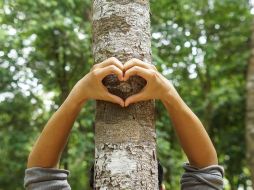 Entre consumidores, un 60 por ciento prefiere productos con impacto positivo en el entorno social y ambiental. ESPECIAL