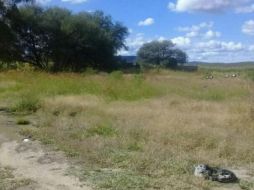 El primer hallazgo ocurrió el lunes pasado en un terreno del municipio. ESPECIAL