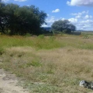 Hallan 19 cuerpos en fosa en Lagos de Moreno