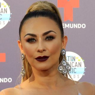 Aracely Arámbula comparte fotos de sensuales atuendos