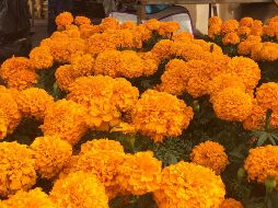 El aroma del cempasúchil ya es un referente en estas fechas próximas. EFE/A. Cruz