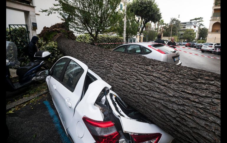 Roma y otras ciudades de Italia se vieron afectadas el fin de semana por fuertes rachas de viento e intensas lluvias. AP / ANSA / A. Carconi