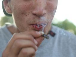 La Suprema Corte determinó que la prohibición absoluta para el consumo lúdico de la mariguana es innecesaria y desproporcionada al derecho al libre desarrollo de la personalidad. EL INFORMADOR/ARCHIVO