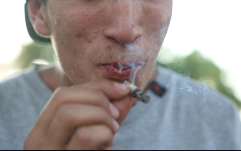 La Suprema Corte determinó que la prohibición absoluta para el consumo lúdico de la mariguana es innecesaria y desproporcionada al derecho al libre desarrollo de la personalidad. EL INFORMADOR/ARCHIVO