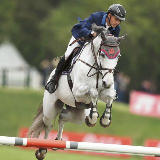 ¡La Silla está de vuelta!